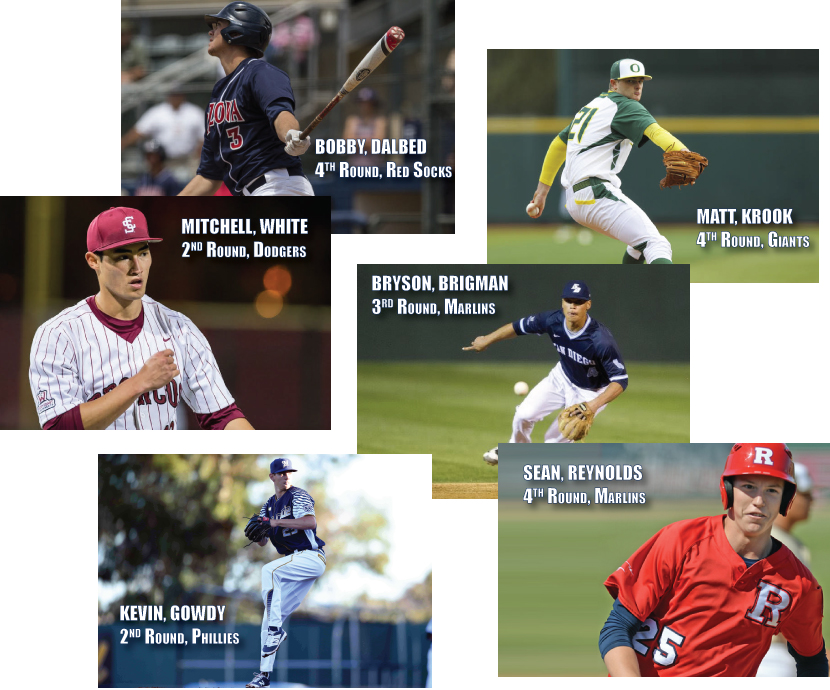 MLB Draft Picks